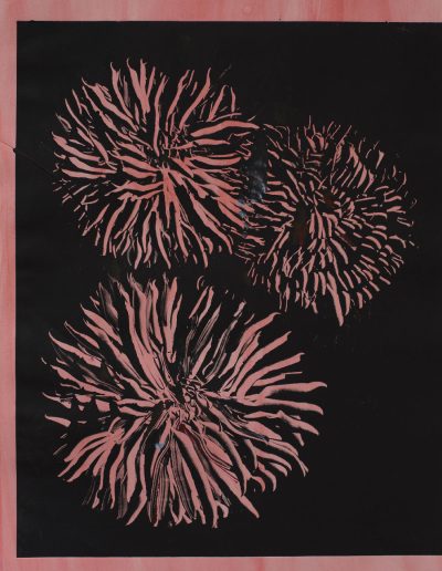 Dahlias, lithographie, 2023
