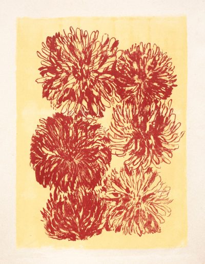Dahlias, lithographie, 2026