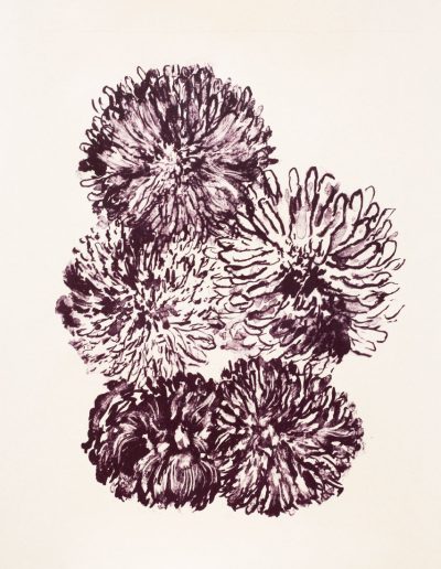 Dahlias, lithographie, 2026